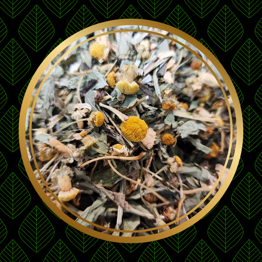 Slumber in the Woods